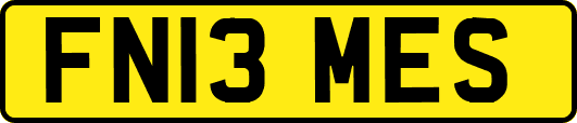 FN13MES