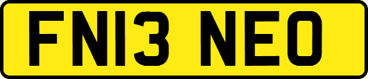 FN13NEO