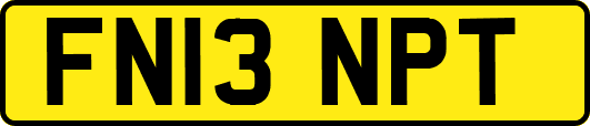 FN13NPT