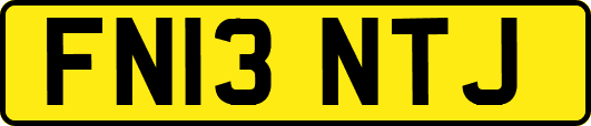 FN13NTJ