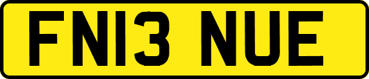 FN13NUE