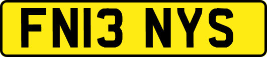 FN13NYS