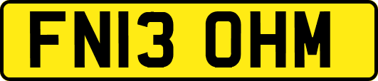 FN13OHM
