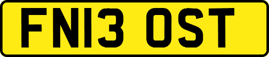 FN13OST