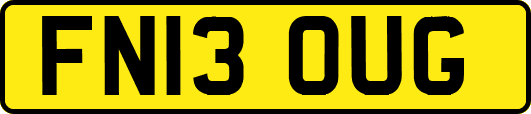 FN13OUG