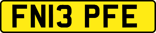 FN13PFE