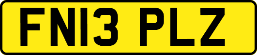 FN13PLZ