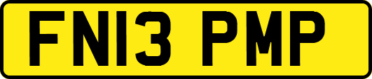 FN13PMP