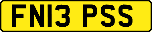 FN13PSS