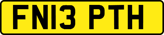 FN13PTH