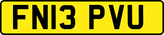 FN13PVU