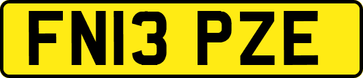 FN13PZE