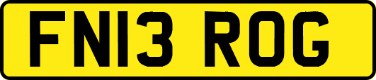 FN13ROG