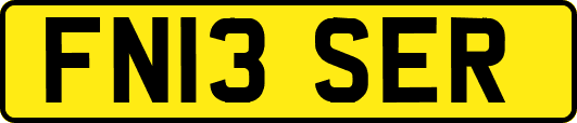 FN13SER