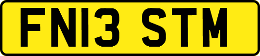 FN13STM