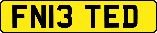 FN13TED
