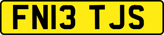 FN13TJS