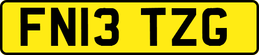 FN13TZG