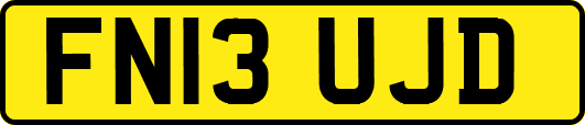 FN13UJD