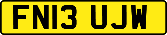 FN13UJW