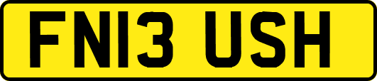 FN13USH