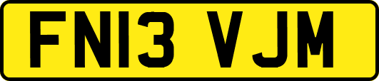 FN13VJM