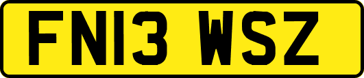 FN13WSZ