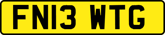 FN13WTG