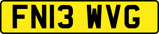 FN13WVG