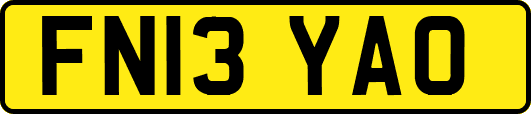 FN13YAO