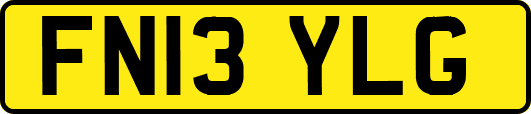 FN13YLG