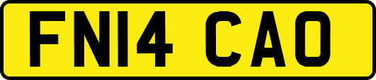 FN14CAO