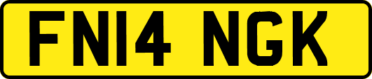 FN14NGK