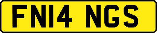 FN14NGS