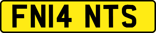FN14NTS