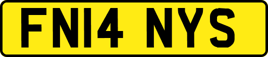FN14NYS