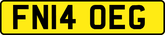 FN14OEG
