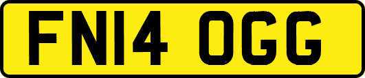 FN14OGG