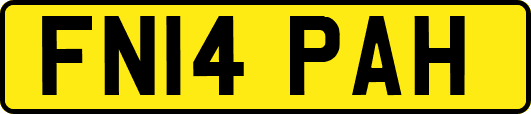 FN14PAH