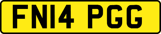 FN14PGG