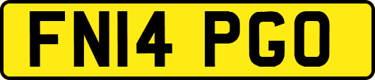 FN14PGO