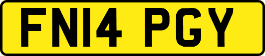 FN14PGY