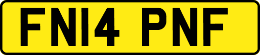FN14PNF