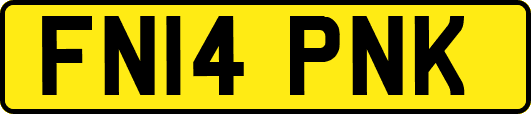 FN14PNK
