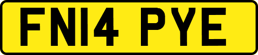 FN14PYE