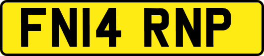 FN14RNP