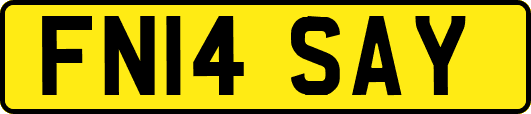 FN14SAY