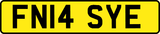 FN14SYE