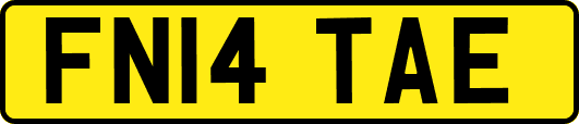 FN14TAE