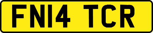 FN14TCR